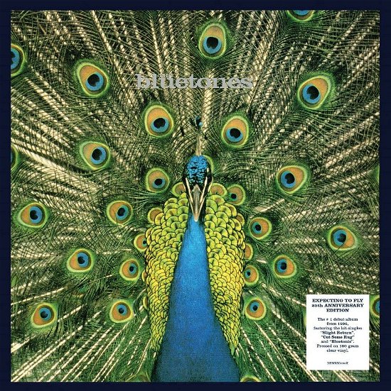 Cover for Bluetones · Expecting To Fly (LP) (2021)