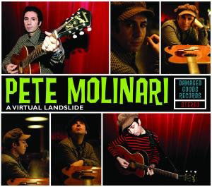 A Virtual Landslide - Pete Molinari - Muzyka - DAMAGED GOODS - 5020422029729 - 9 stycznia 2009