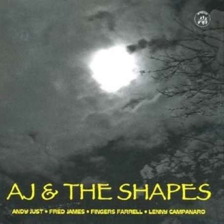 Cover for Just,andy / Shapes · Andy Just &amp; Shapes (CD) (2008)