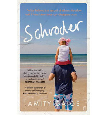 Cover for Amity Gaige · Schroder (Paperback Book) [Main edition] (2014)