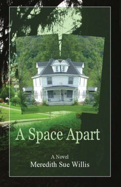 Cover for Meredith Sue Willis · A Space Apart (Pocketbok) (2017)