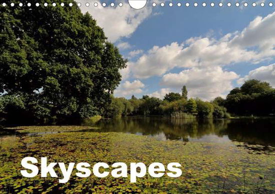 Cover for Brooks · Skyscapes (Wall Calendar 2021 DI (Book)