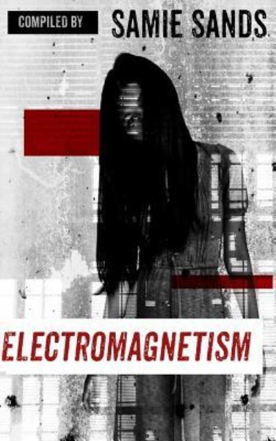 Cover for Samie Sands · Electromagnetism (Paperback Book) (2017)