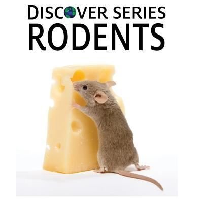 Cover for Xist Publishing · Discover Series Rodents (Pocketbok) (2012)