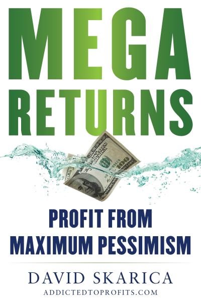 Mega Returns: Profit from Maximum Pessimism - David Skarica - Kirjat - Humanix Books - 9781630062729 - torstai 16. tammikuuta 2025