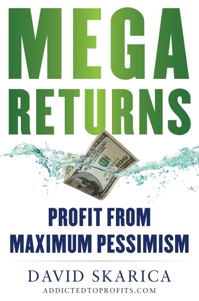 Cover for David Skarica · Mega Returns: Profit from Maximum Pessimism (Hardcover bog) (2025)