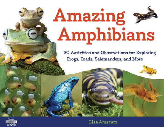 Cover for Lisa J. Amstutz · Amazing Amphibians: 30 Activities and Observations for Exploring Frogs, Toads, Salamanders, and More (Pocketbok) (2020)