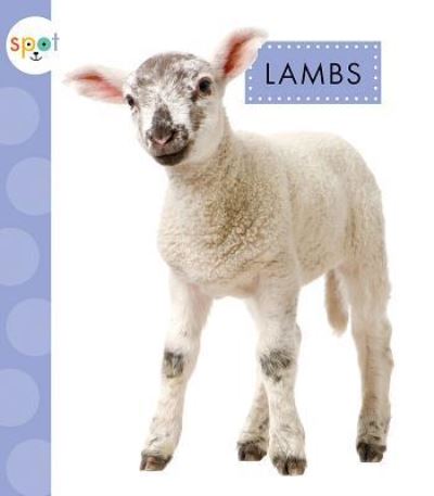 Lambs - Anastasia Suen - Książki - Amicus - 9781681523729 - 5 lutego 2019