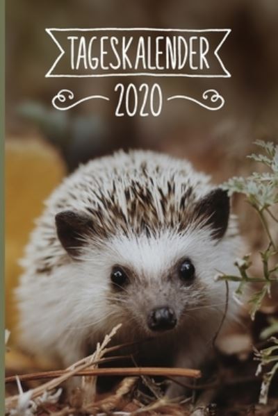 Cover for Igel Tageskalender 2020 Publishing · Tageskalender 2020 (Taschenbuch) (2019)