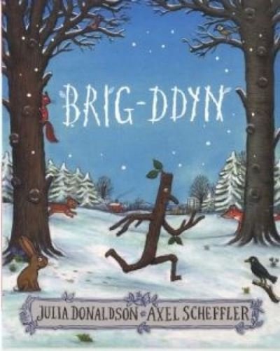 Cover for Julia Donaldson · Brig-Ddyn (Paperback Book) (2021)