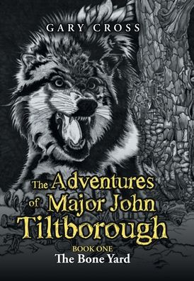 Cover for Gary Cross · The Adventures of Major John Tiltborough (Hardcover Book) (2020)