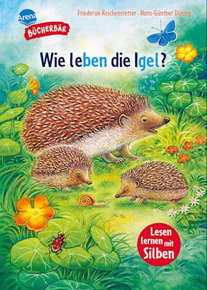 Cover for Friederun Reichenstetter · Sachwissen für Erstleser. Wie leben die Igel? (Book) (2025)