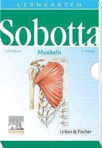 Cover for Sobotta · Sobotta Lernkarten. Muskeln (Buch)