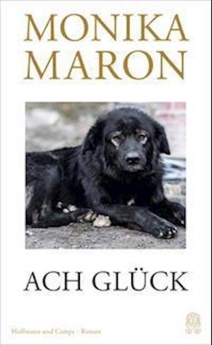 Cover for Monika Maron · Ach Glück (Gebundenes Buch) (2021)