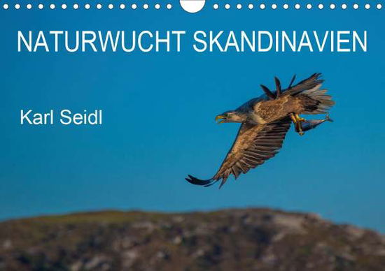 Cover for Seidl · Naturwucht Skandinavien (Wandkale (Book)