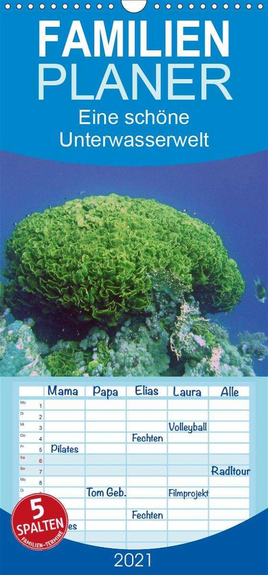Cover for Bauch · Eine schöne Unterwasserwelt - Fam (Book)