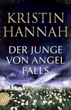 Der Junge von Angel Falls - Kristin Hannah - Boeken - Aufbau TB - 9783746635729 - 14 maart 2023