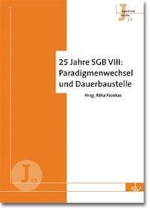 Cover for Fazekas · 25 Jahre SGB VIII: Paradigmenwe (Book)
