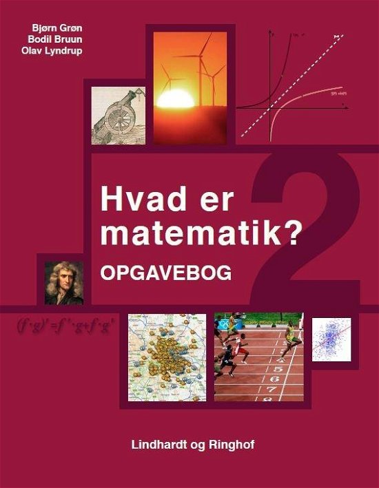 Cover for Bjørn Grøn; Bodil Bruun; Olav Lyndrup · Hvad er matematik: Hvad er matematik? 2, Opgavebog (Sewn Spine Book) [1. wydanie] (2019)