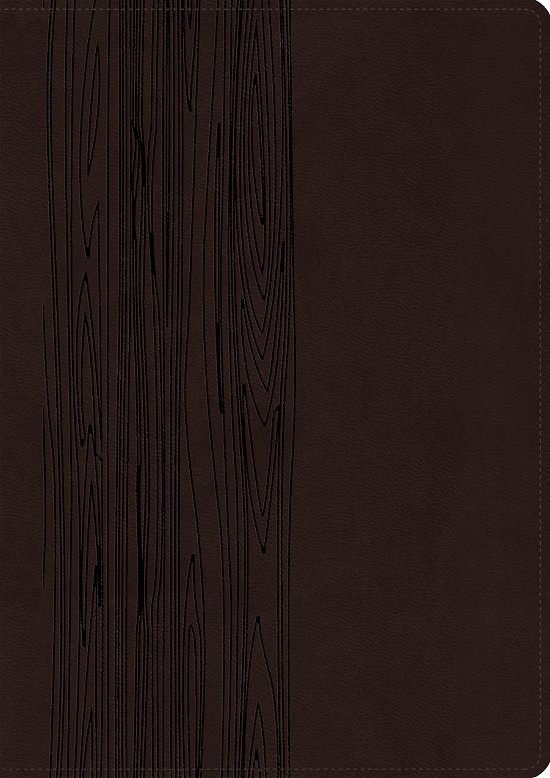 Cover for Bibelen på Hverdagsdansk, premium kunstlæder, brun (Hardcover Book) (2019)