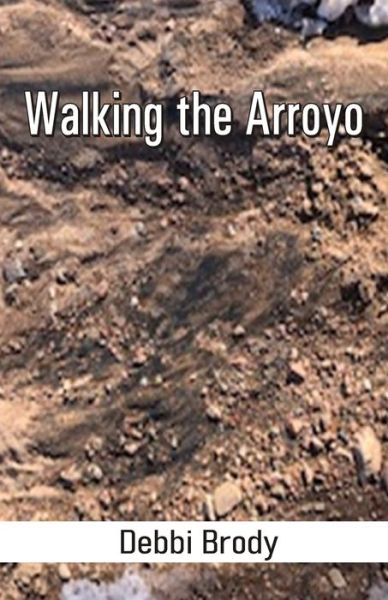Cover for Debbi Brody · Walking the Arroyo (Paperback Book) (2020)