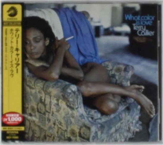 Cover for Terry Callier · What Color Is Love (CD) [Remastered edition] (2013)