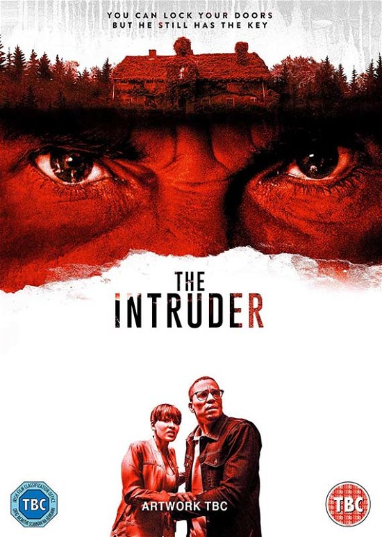 Cover for The Intruder (DVD) (2019)