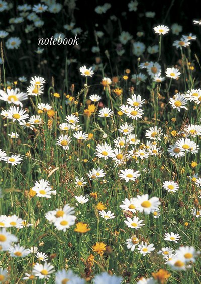 Cover for Peony Press · Notebook (Field of Daisies) (Spiral Book) (2015)