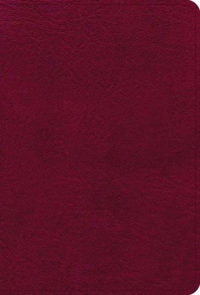 Cover for Holman Bible Publishers · NASB Large Print Compact Reference Bible, Burgundy Leathertouch (Bok) (2022)