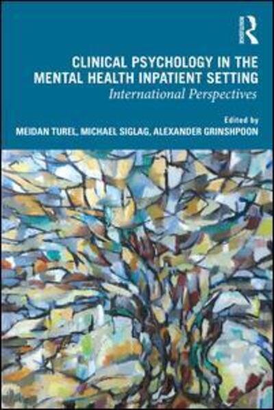 Cover for Meidan Turel · Clinical Psychology in the Mental Health Inpatient Setting: International Perspectives (Paperback Book) (2019)