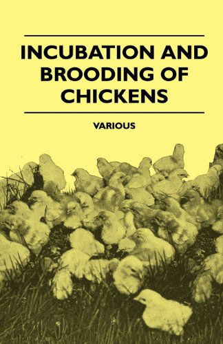 Cover for Incubation and Brooding of Chickens (Paperback Book) (2010)