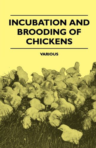 Incubation and Brooding of Chickens - V/A - Books - Dabney Press - 9781445512730 - September 10, 2010