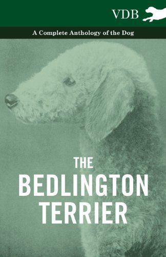 Cover for The Bedlington Terrier - a Complete Anthology of the Dog - (Paperback Book) (2010)