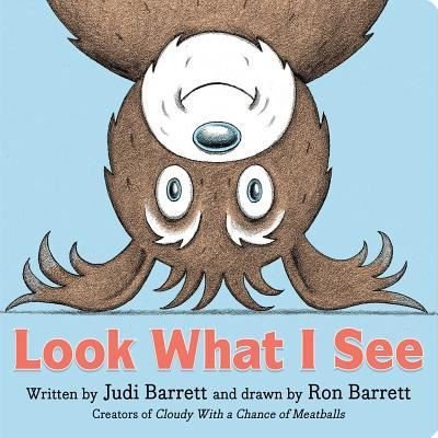 Cover for Judi Barrett · Look What I See (Tavlebog) (2019)