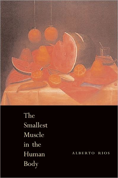 Cover for Alberto Ros · The Smallest Muscle in the Human Body (Paperback Book) [First edition] (2002)