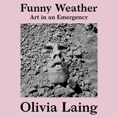 Cover for Olivia Laing · Funny Weather Lib/E (CD) (2020)
