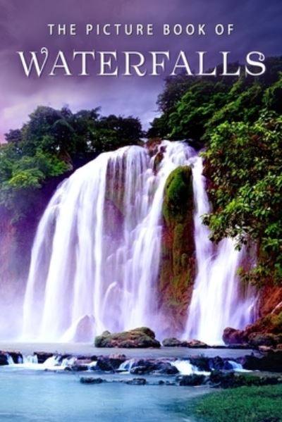 Cover for Sunny Street Books · The Picture Book of Waterfalls (Paperback Book) (2019)