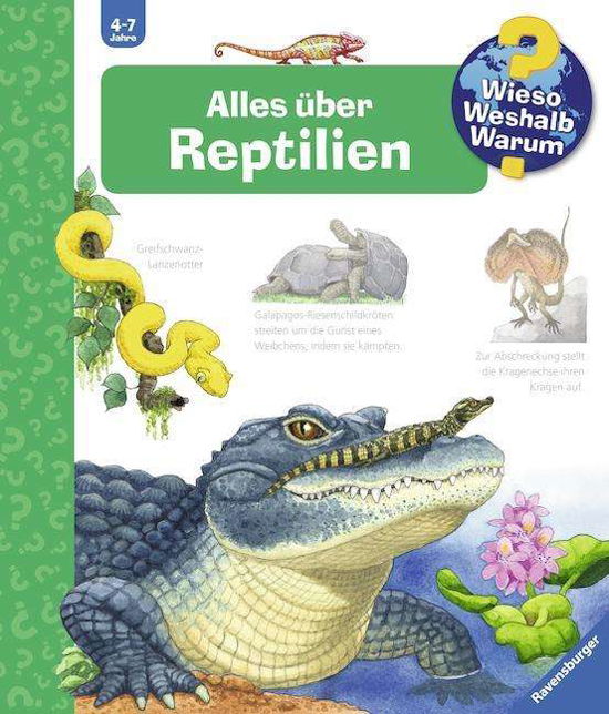 Cover for Mennen · Alles über Reptilien (Bog)