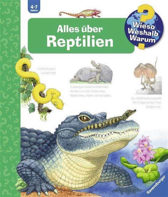 Cover for Mennen · Alles über Reptilien (Bok)