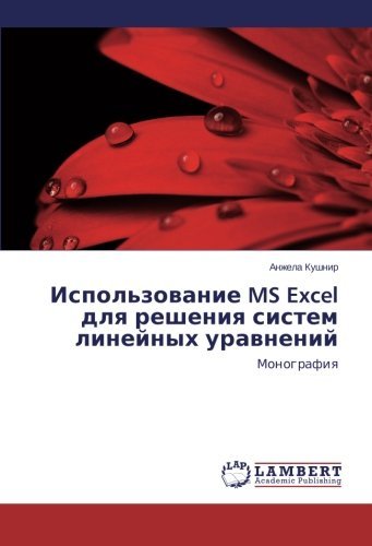 Cover for Anzhela Kushnir · Ispol'zovanie Ms Excel    Dlya Resheniya Sistem Lineynykh Uravneniy: Monografiya (Pocketbok) [Russian edition] (2013)