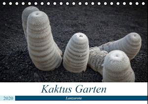 Cover for Krieger · Kaktus Garten Lanzarote (Tischk (Book)