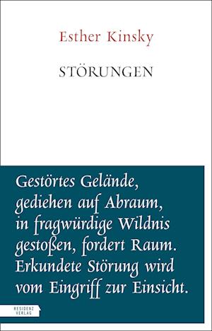 Cover for Esther Kinsky · Störungen (Book)