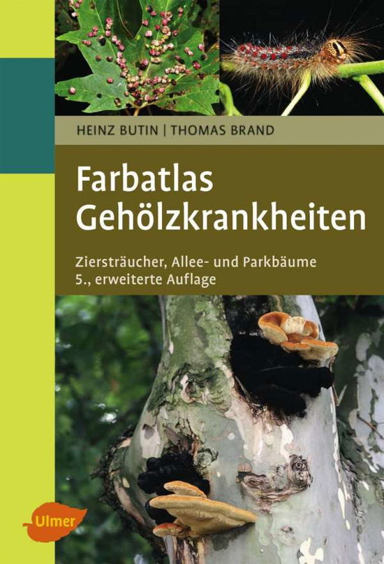 Cover for Butin · Farbatlas Gehölzkrankheiten (Book)