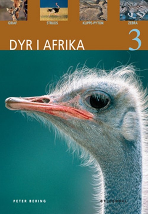 Cover for Peter Bering · Dyr: Dyr i Afrika 3 (Taschenbuch) [1. Ausgabe] (2010)