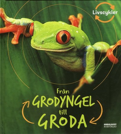 Cover for Camilla De La Bédoyère · Från grodyngel till groda (Bound Book) (2019)