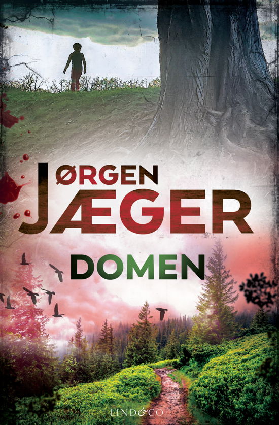 Cover for Jørgen Jæger · Domen (Gebundenes Buch) (2024)