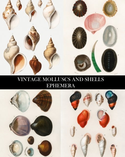Cover for Vintage Revisited Press · Vintage Molluscs and Shell Ephemera: Conchology Decorative Paper for Collages, Decoupage and Junk Journals (Taschenbuch) (2024)