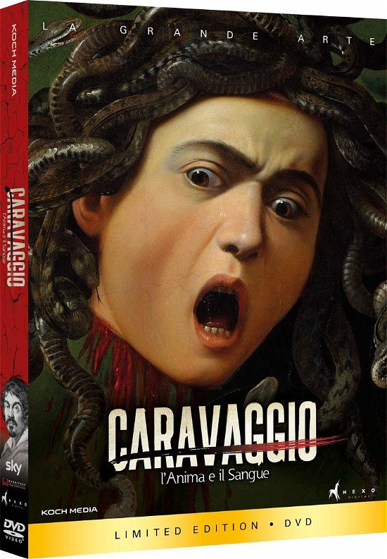 Cover for Caravaggio · Caravaggio - L'anima E Il Sangue (DVD) (2019)