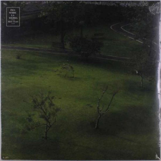 Cover for Mabe Fratti · Pies Sobre La Tierra (LP) (2020)