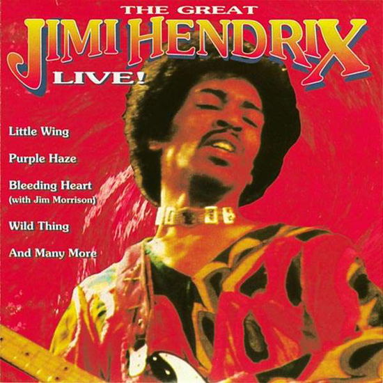The Great Jimi Hendrix - The Jimi Hendrix Experience - Musiikki - GOLDIES - 8712177022731 - torstai 2. maaliskuuta 1995